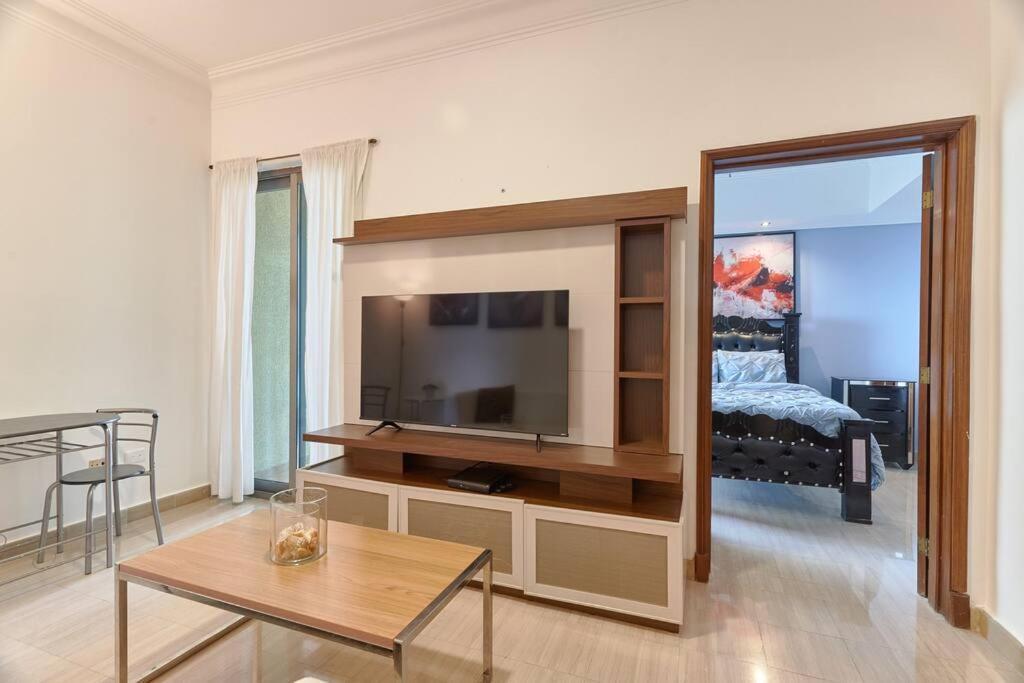 Luxurious Ocean View Suite 聖多明哥 外观 照片